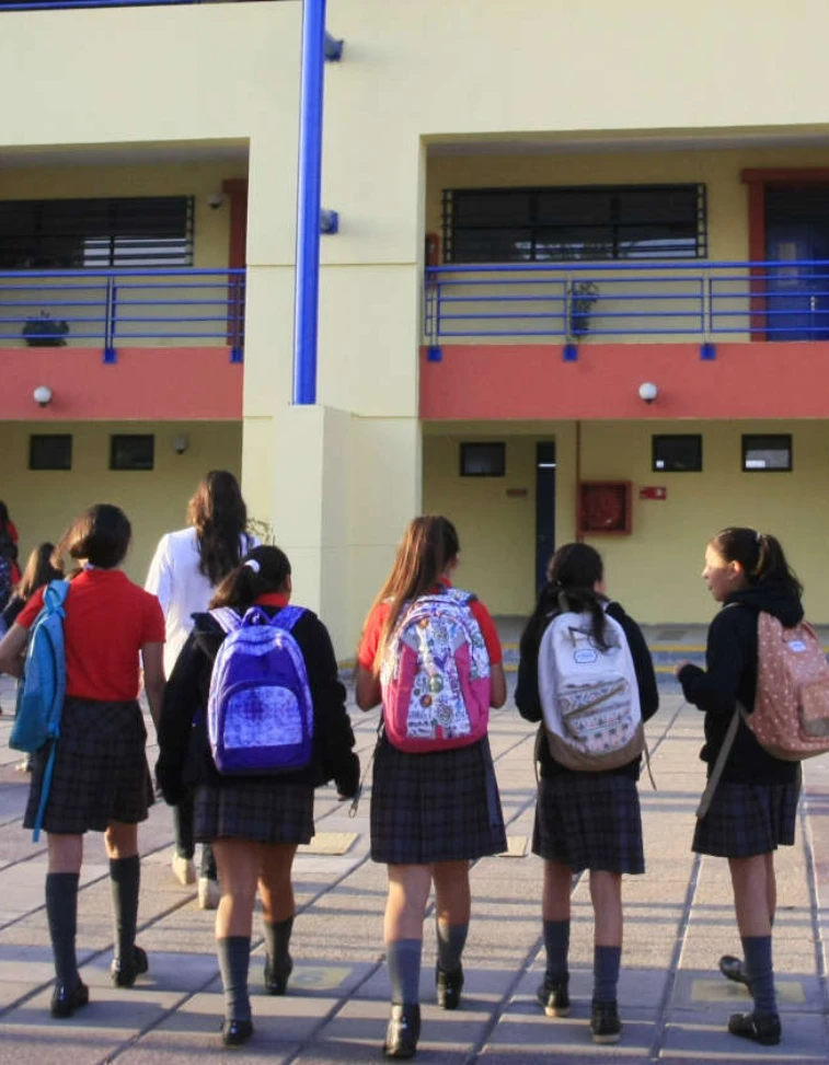 Profesores enseñando