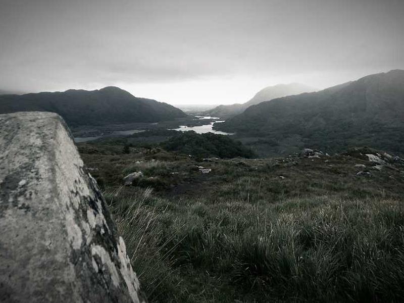 Patricio Bonta - Administrador Gerencia General